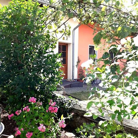 Ferienwohnung Adams Hinterweiler Εξωτερικό φωτογραφία