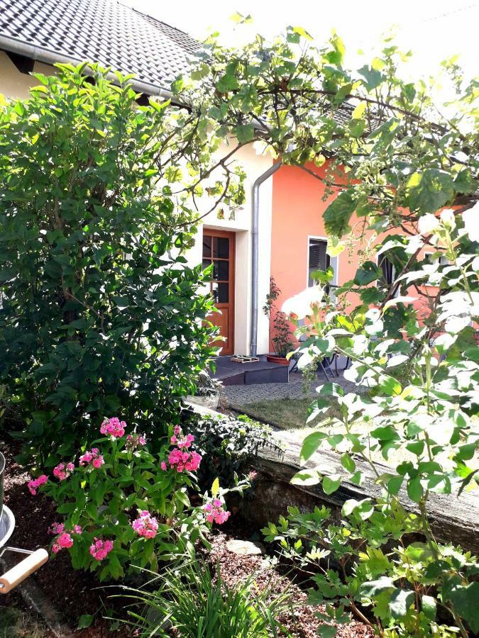 Ferienwohnung Adams Hinterweiler Εξωτερικό φωτογραφία